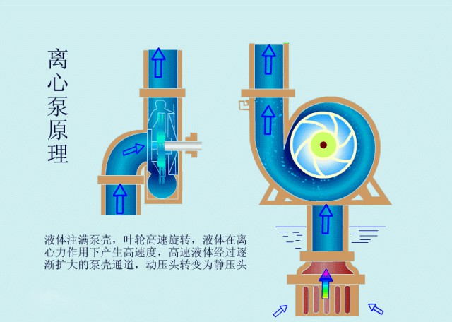 離心泵啟動時，出口閥門必 須關閉嗎？